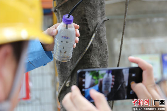 住戶(hù)為防止雨天插座漏電而套上的塑料瓶中積水明顯，存在漏電隱患。謝耘 攝